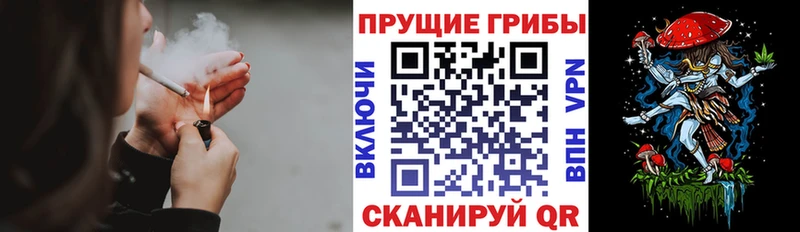 Купить где  Лебедянь  Псилоцибиновые грибы мухоморы 